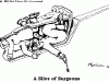 Slice of Surgeons