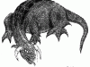 Dragon sketch